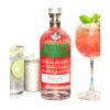 Absolut Watermelon มีส่วนผสมอะไรบ้าง?