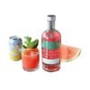 รสชาติของ Absolut Watermelon เป็นอย่างไร?