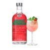 วอดก้า Absolut Watermelon เหมาะกับการทำค็อกเทลประเภทไหนบ้าง?