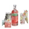 Absolut Watermelon สามารถหาซื้อได้ที่ไหนบ้างในประเทศไทย?