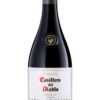Casillero Del Diablo Shiraz 2014 ควรเก็บไว้นานแค่ไหน?
