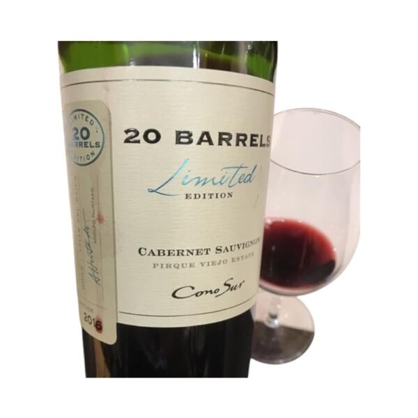 เหมาะกับอาหารประเภทใดเมื่อจับคู่กับ Cono Sur 20 Barrel Cabernet Sauvignon 2016?