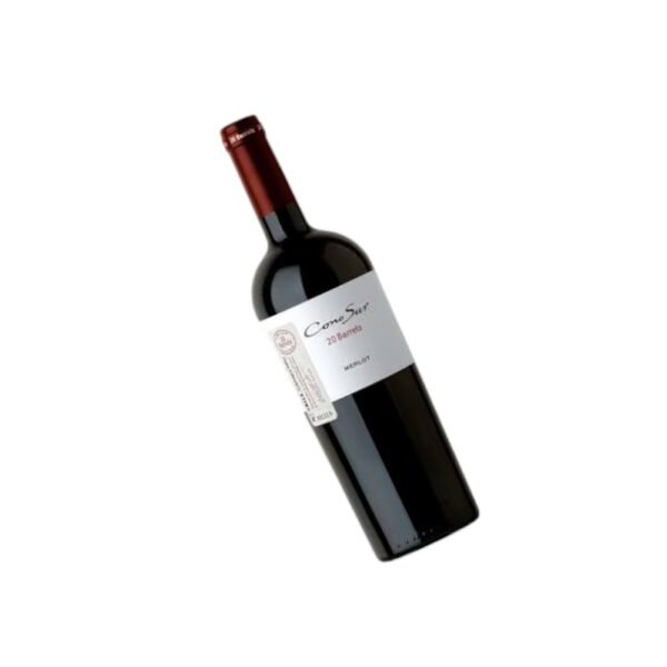 ควรจับคู่ Cono Sur 20 Barrels Merlot 2016 กับอาหารประเภทไหน?