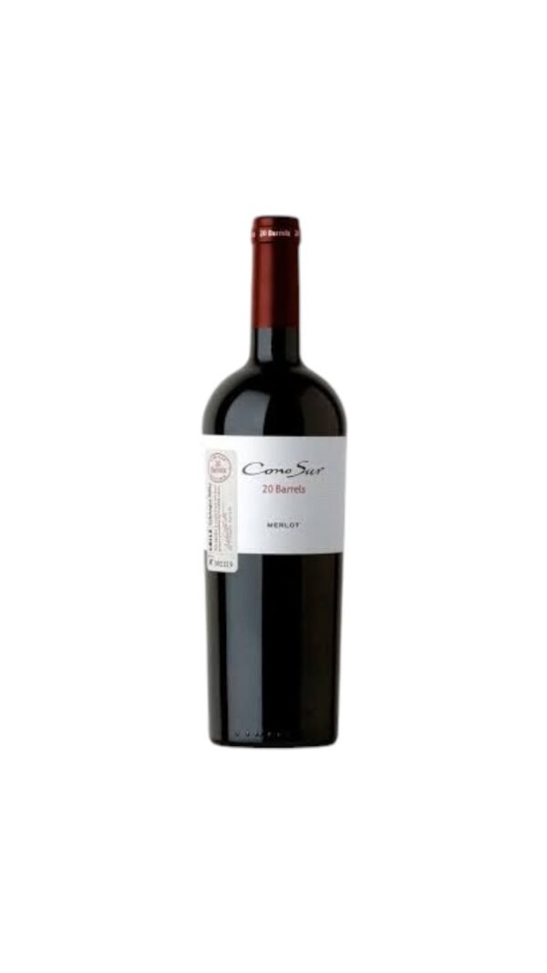 คำแนะนำในการจับคู่ไวน์ Cono Sur 20 Barrels Merlot 2016 กับอาหารชนิดใดดีที่สุด?