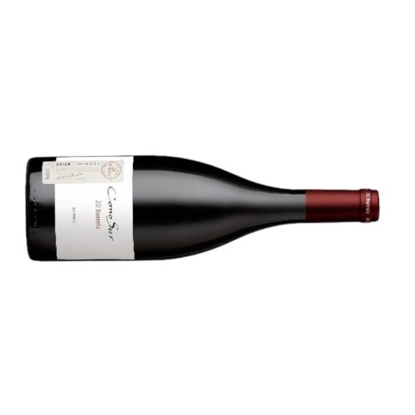 Cono Sur 20 Barrels Syrah 2015 ควรจับคู่กับอาหารประเภทใด?