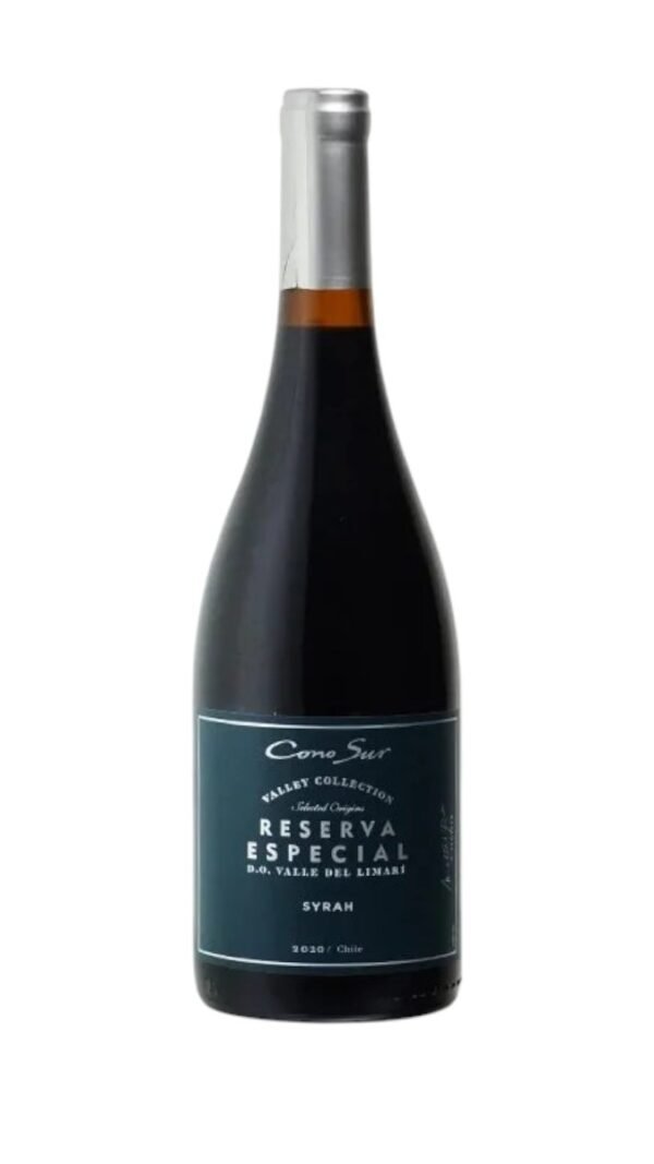 Cono Sur Reserva Especial Syrah เหมาะกับการจับคู่กับอาหารประเภทใด?