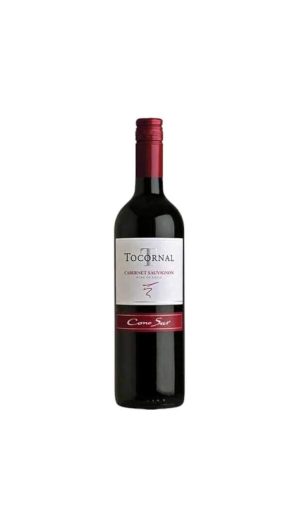 เหมาะสมกับอาหารชนิดใดเมื่อจับคู่กับ Cono Sur Tocornal Cabernet Sauvignon 2019?