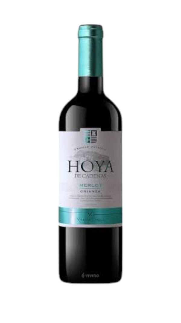 การจัดเก็บ HoyadeCadenasMerlot2015 ควรทำอย่างไรเพื่อให้ดีที่สุด?