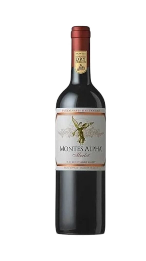 แนะนำอาหารที่เข้ากันได้ดีกับ Montes Alpha Merlot 2017 คืออะไร?