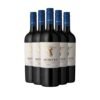 ข้อมูลเกี่ยวกับการผลิต Montes Merlot (Classic) 2020 คืออะไร?