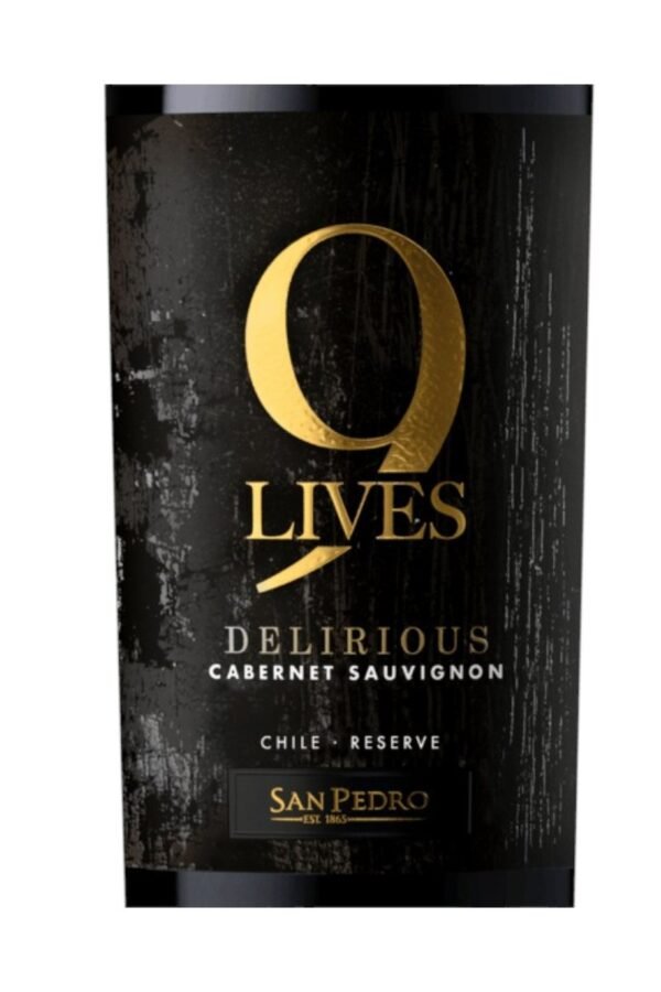 Cabernet Sauvignon Reserve จาก San Pedro เหมาะกับอาหารประเภทไหน?