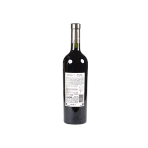 Trapiche Oak Cask Cabernet Sauvignon 2017 มีลักษณะเฉพาะอย่างไรเมื่อเปรียบเทียบกับรุ่นอื่นๆ?