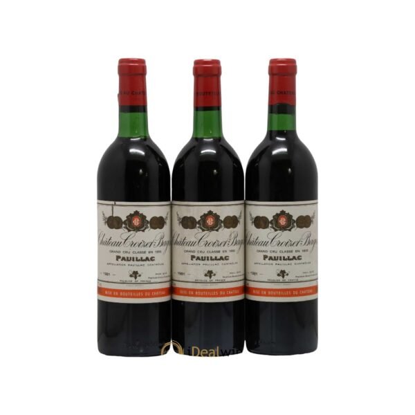 ปี 1981 สภาพอากาศส่งผลต่อคุณภาพของ 1981 Chateau Croizet Bages อย่างไร?