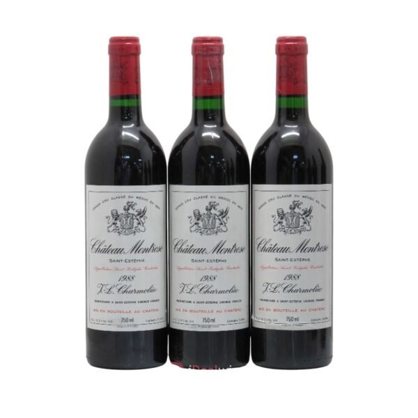 1988 Chateau Montrose มีลักษณะเฉพาะอะไรที่ทำให้มันโดดเด่นในตลาดไวน์?