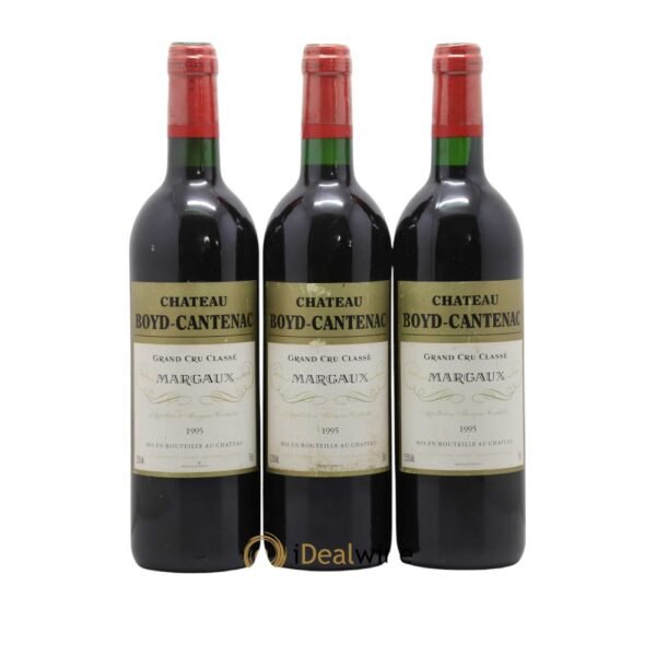 ปี 1995 มีอิทธิพลต่อคุณภาพของ 1995 Chateau Boyd Cantenac อย่างไร?