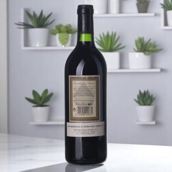 Vino Saint-Chinian 🍷,