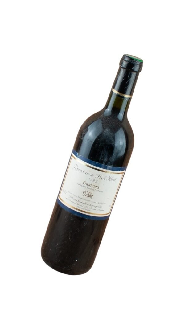 1993 Domaine de Pech Haut มีความเป็นมาทางประวัติศาสตร์อย่างไร?