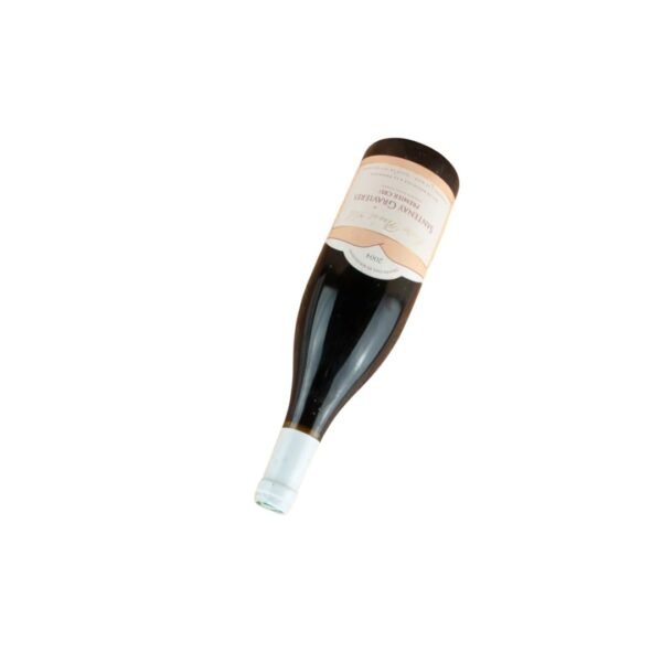 2004 Santenay 1er Cru Gravières Mestre Pére et Fils เหมาะกับอาหารประเภทใดบ้าง?