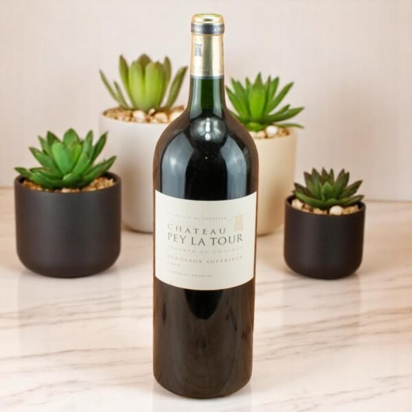 2007 Château Pey La Tour Reserve du Château Magnum แนะนำ 👍,