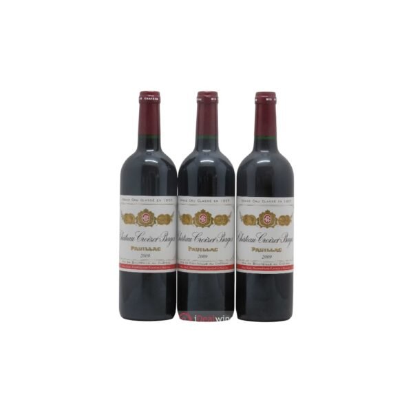 นักวิจารณ์ไวน์มีความคิดเห็นอย่างไรเกี่ยวกับ 2009 Chateau Croizet Bages?
