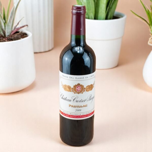 รีวิว 2009 Chateau Croizet Bages ⭐,