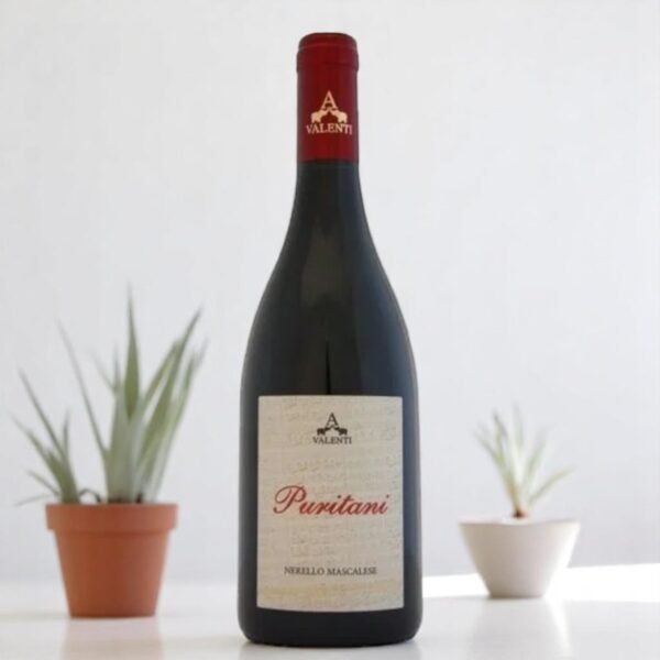 2013 Etna Rosso Puritani Magnum สั่งซื้อออนไลน์ 📦,