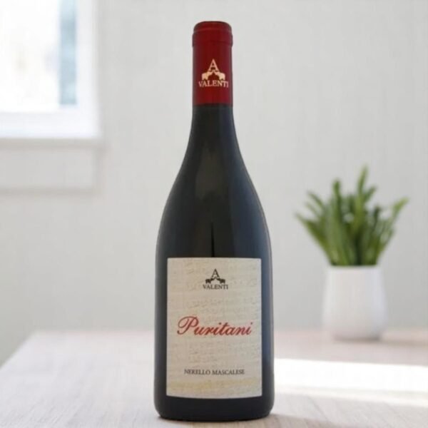 2013 Etna Rosso Puritani Magnum ไวน์แดง 🍇,