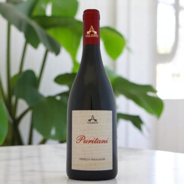 รีวิว 2013 Etna Rosso Puritani Magnum ⭐,