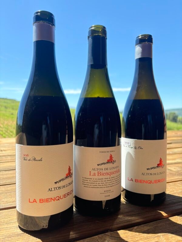 สั่งซื้อ 2016 La Bienquerida Bierzo 📦,
