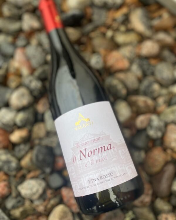 2017 Etna Rosso Puritani ไวน์แดง 🍇,