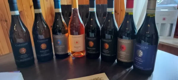 2018 Roero Riserva Careglio ขาย 🍾,