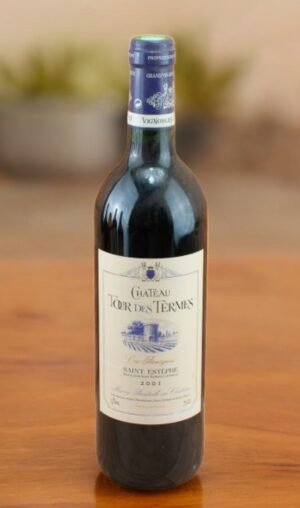 Chateau Le Tour des Termes
