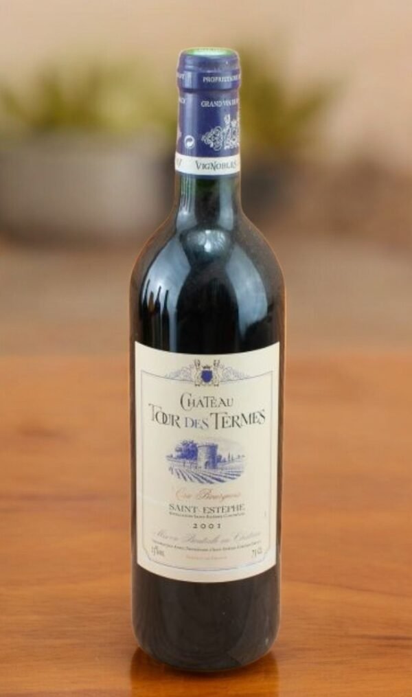 Chateau Le Tour des Termes